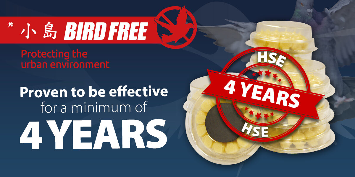 Bird-Free-KYI_4-Years-promo