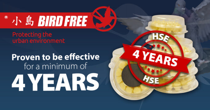 Bird-Free-KYI_4-Years-promo