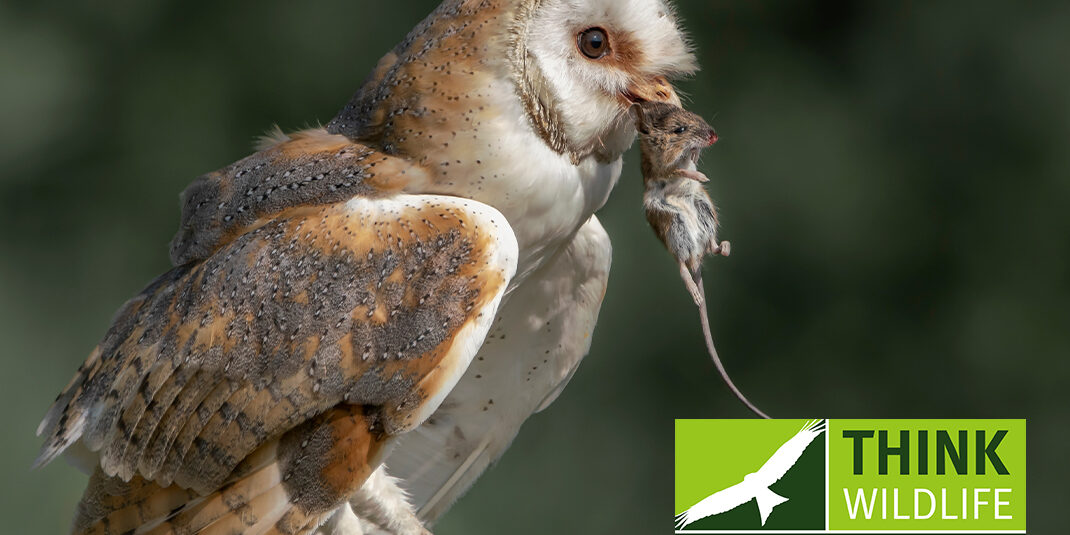 RODENTICIDES ALARM BELLS FOR ALL WHO USE PROFESSIONAL RODENTICIDES