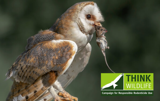 RODENTICIDES ALARM BELLS FOR ALL WHO USE PROFESSIONAL RODENTICIDES