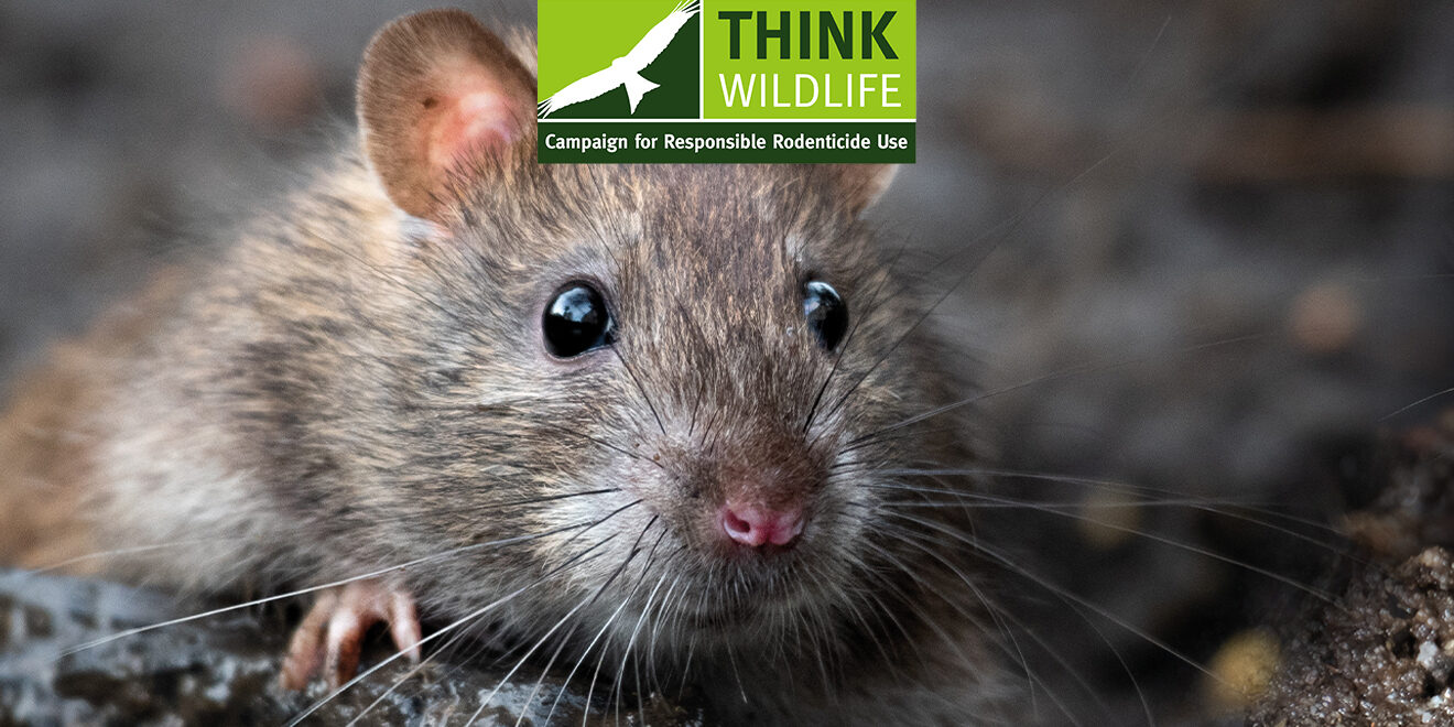 CRRU-Second-Gen-KYI-1320x800px